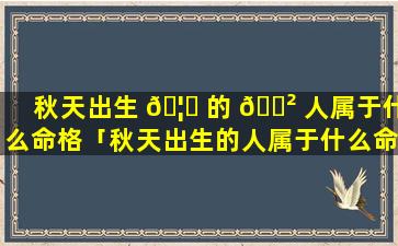 秋天出生 🦊 的 🌲 人属于什么命格「秋天出生的人属于什么命格的人」